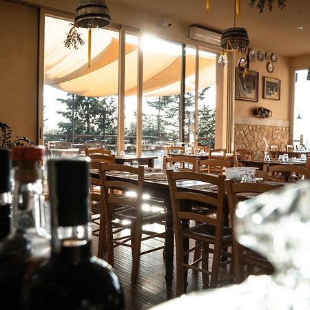Agriturismo Eco-Bio Belmonte Vacanze Montaione Eksteriør billede