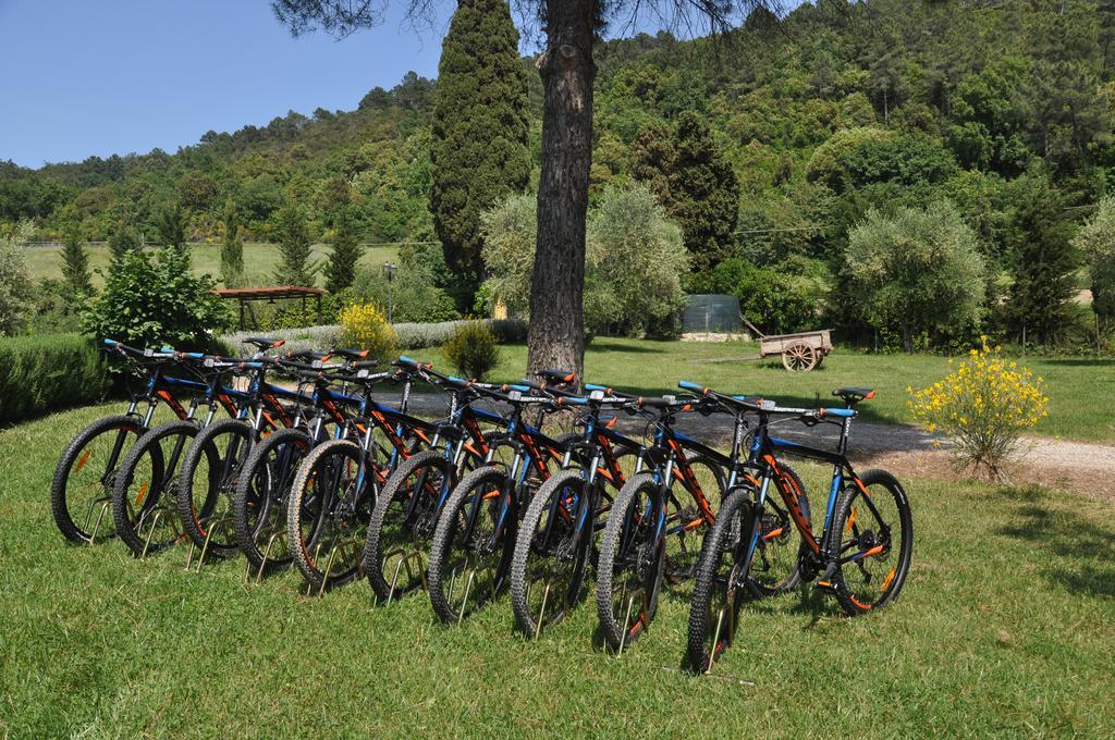 Agriturismo Eco-Bio Belmonte Vacanze Montaione Eksteriør billede