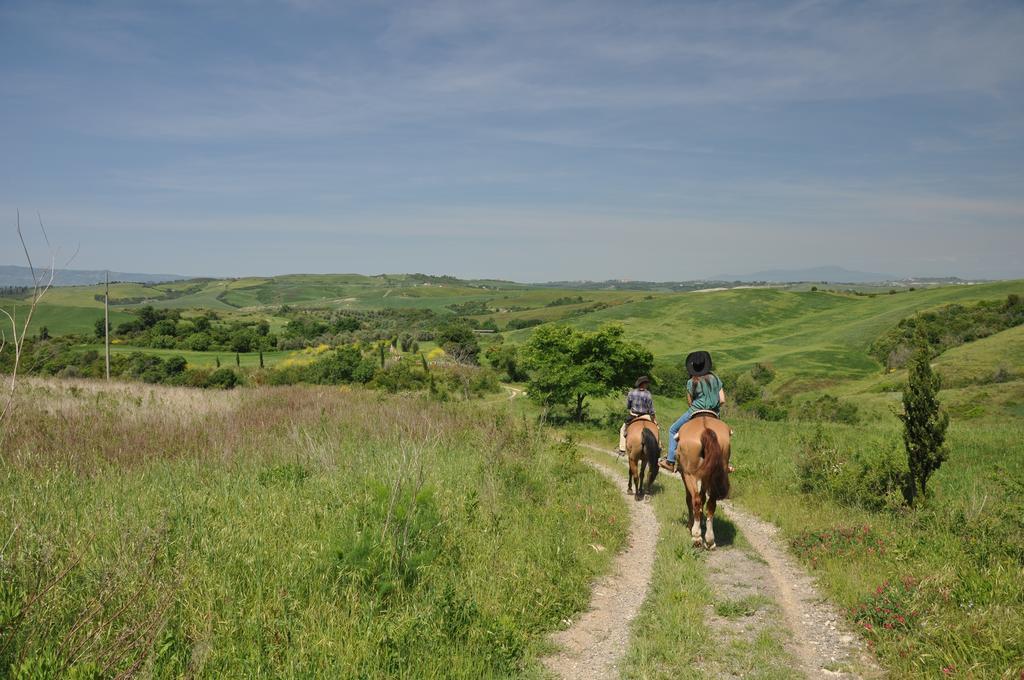 Agriturismo Eco-Bio Belmonte Vacanze Montaione Eksteriør billede