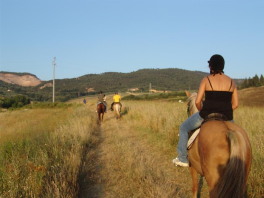 Agriturismo Eco-Bio Belmonte Vacanze Montaione Eksteriør billede