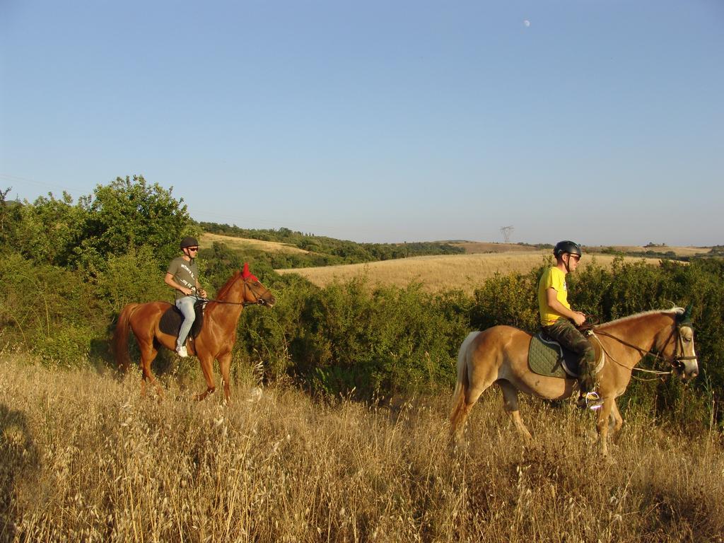 Agriturismo Eco-Bio Belmonte Vacanze Montaione Eksteriør billede