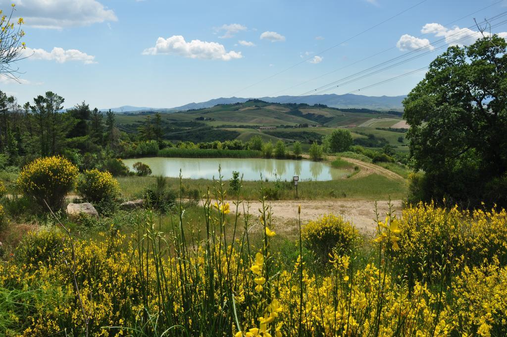 Agriturismo Eco-Bio Belmonte Vacanze Montaione Eksteriør billede