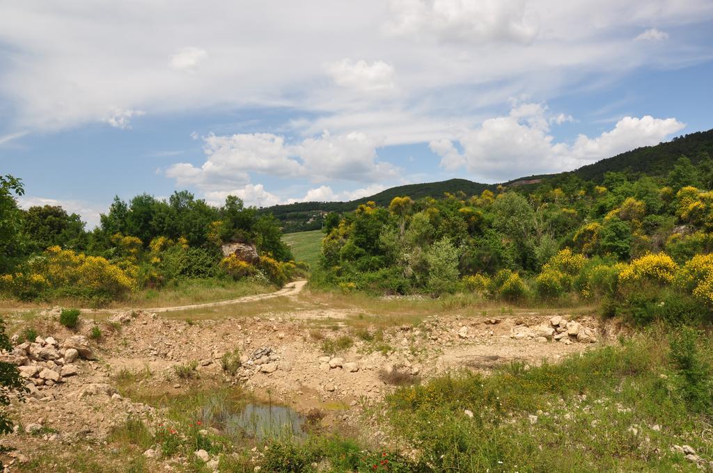 Agriturismo Eco-Bio Belmonte Vacanze Montaione Eksteriør billede