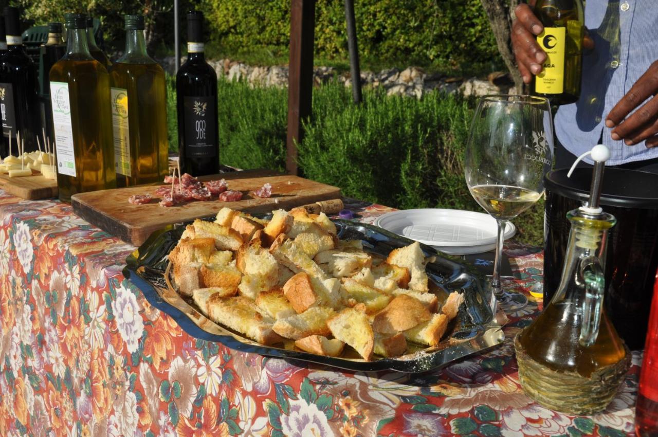Agriturismo Eco-Bio Belmonte Vacanze Montaione Eksteriør billede
