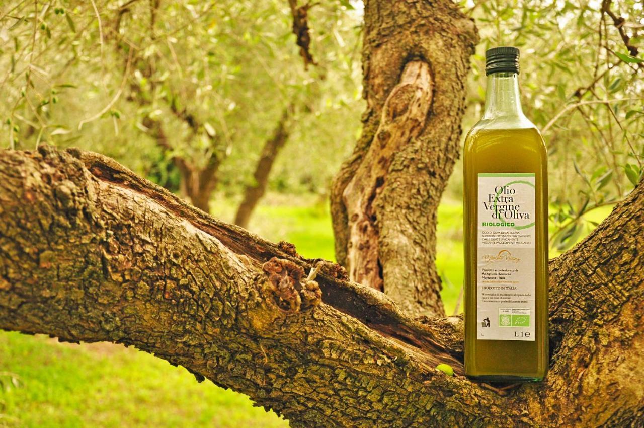 Agriturismo Eco-Bio Belmonte Vacanze Montaione Eksteriør billede