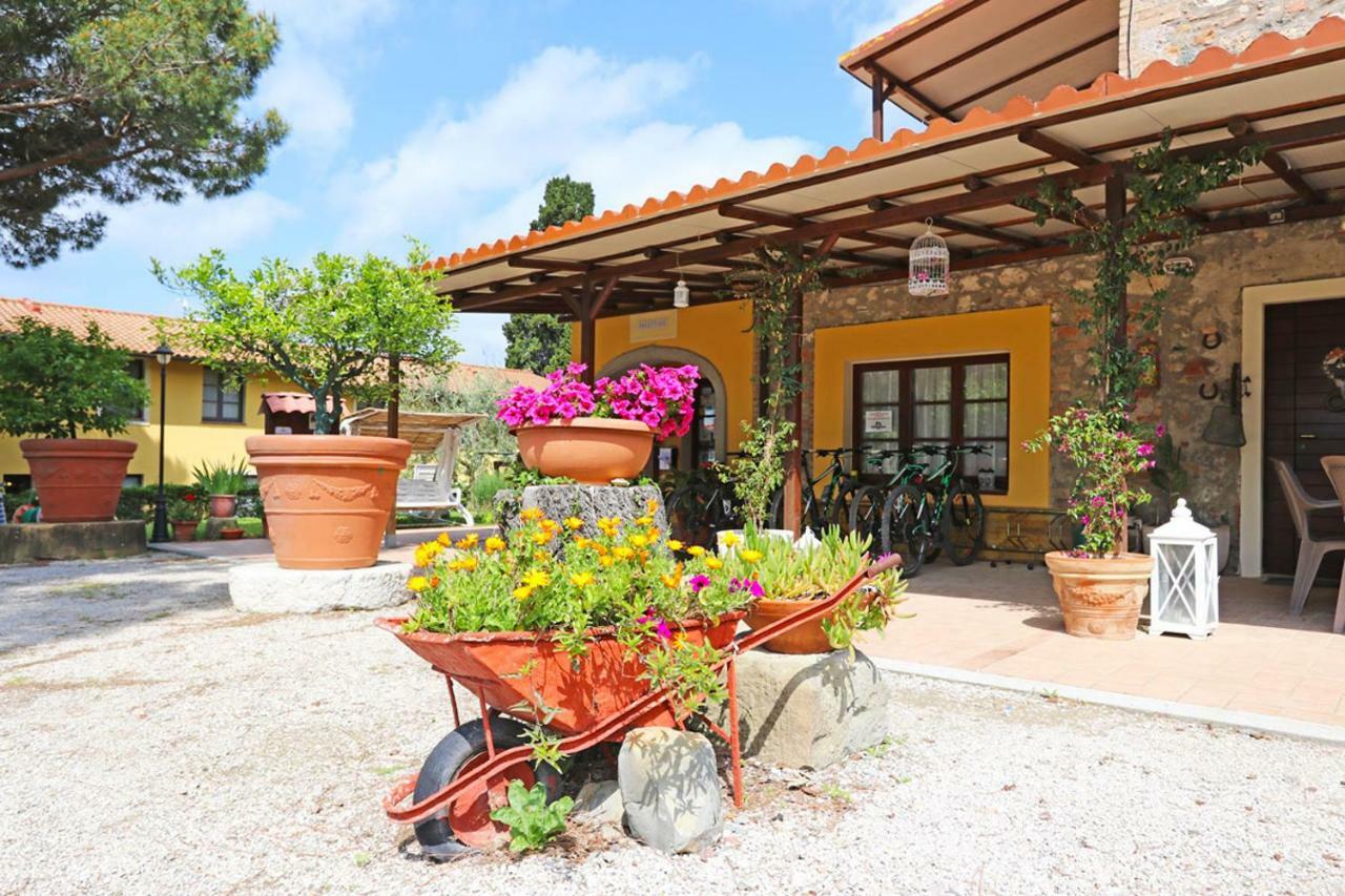 Agriturismo Eco-Bio Belmonte Vacanze Montaione Eksteriør billede