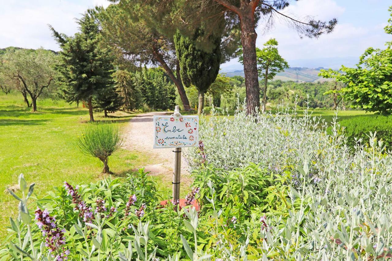 Agriturismo Eco-Bio Belmonte Vacanze Montaione Eksteriør billede