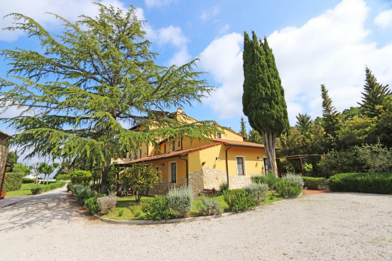 Agriturismo Eco-Bio Belmonte Vacanze Montaione Eksteriør billede