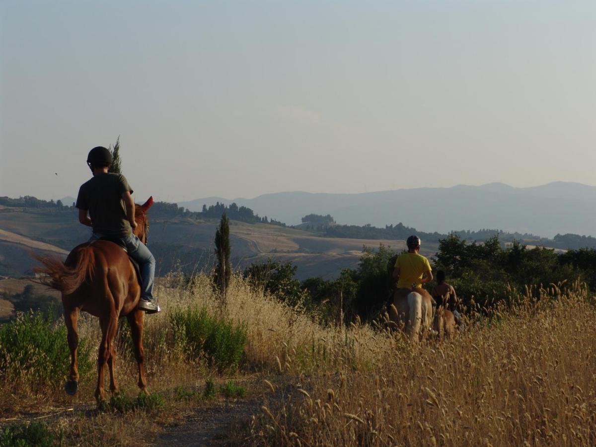 Agriturismo Eco-Bio Belmonte Vacanze Montaione Eksteriør billede